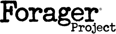 Design Project 1: Forager Project